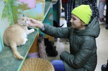 Благотворительная акция помощи животным состоялась в Александро-Невской православной гимназии 12 октября 2021 года