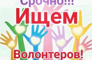 СРОЧНО!!! ТРЕБУЮТСЯ ВОЛОНТЕРЫ на 1 июня 2024 года!