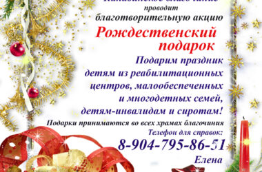 Благотворительная акция «Рождественский подарок» проходит в Канавинском благочинии