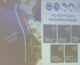 6 апреля гимназисты встретились с заместителем руководителя Нижегородского регионального отделения движения «Волонтёры Победы»